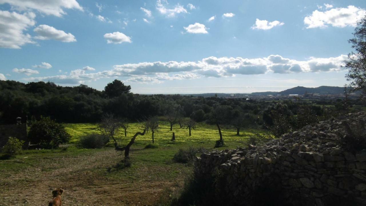Sa Comella Porreras Exterior foto